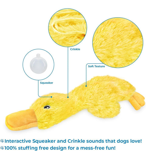 Best Pet Supplies Interactive Squeaky Dog Chew Toy, Ideal Dog Toys for Chewers, Small, Medium & Large Dogs, and Fetch Lovers