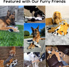 Nocciola Wildlife Series Squeaky Stuffing-Free Dog Plush Toy Variety Pack